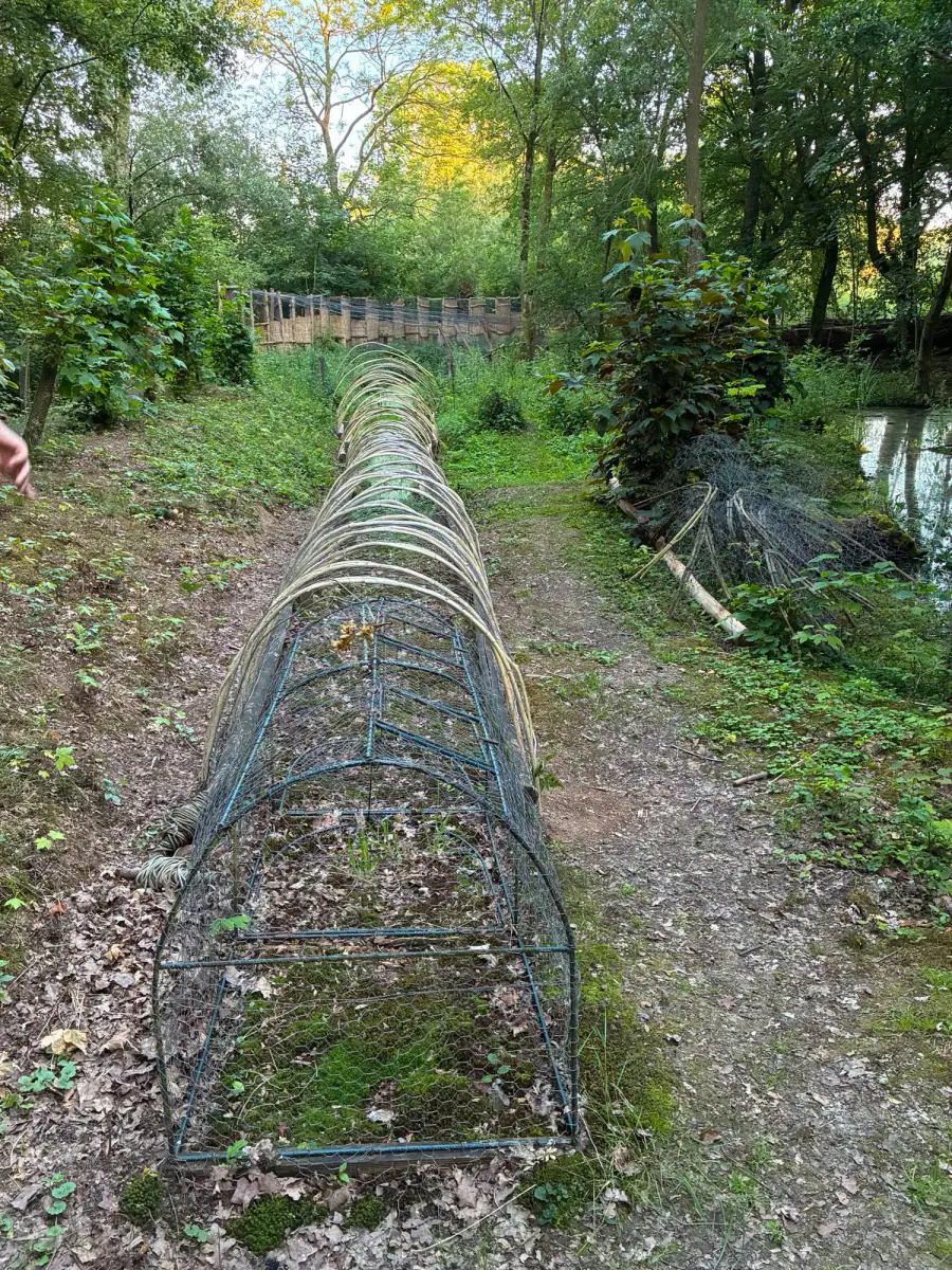 Foto bij Bezoek aan de Eendenkooi Maaspoort